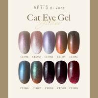 ARTIS di Voce ブラッシュオンカラージェル 8g CE081