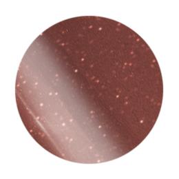 ARTIS di Voce ブラッシュオンカラージェル 8g CE089