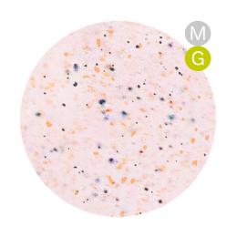 ARTIS di Voce ブラッシュオンカラージェル 8g CT043