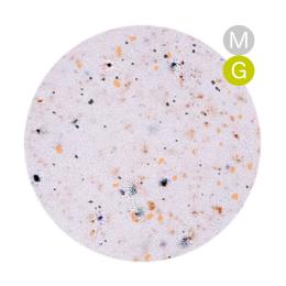 ARTIS di Voce ブラッシュオンカラージェル 8g CT045
