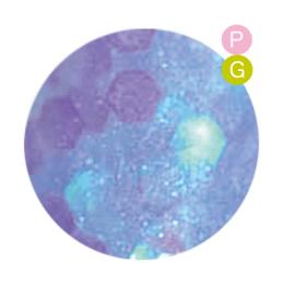 VETRO Bellanail LABEL カラージェル 3ml BL110B ディープシーブレス