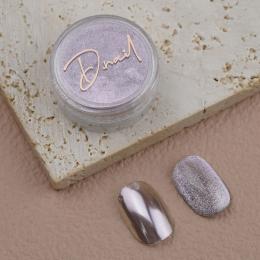 D.nail ミラーマグパウダー 0.5g 01 シルバーピンク #8509