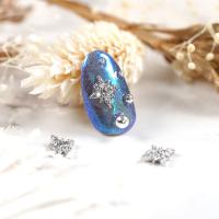 D.nail ジュエリービジューパーツ DS-66 2P #8577