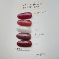 25GEL カラージェル 4g 147G