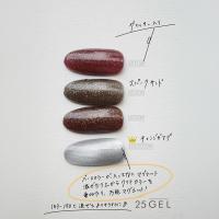 25GEL カラージェル 4g 150G
