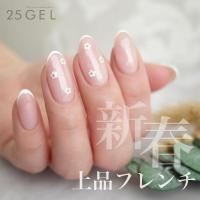 25GEL カラージェル 4g 154G/-1