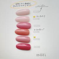 25GEL カラージェル 4g 162M/-1