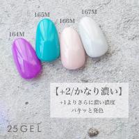 25GEL カラージェル 4g 166M/+2【在庫限り】