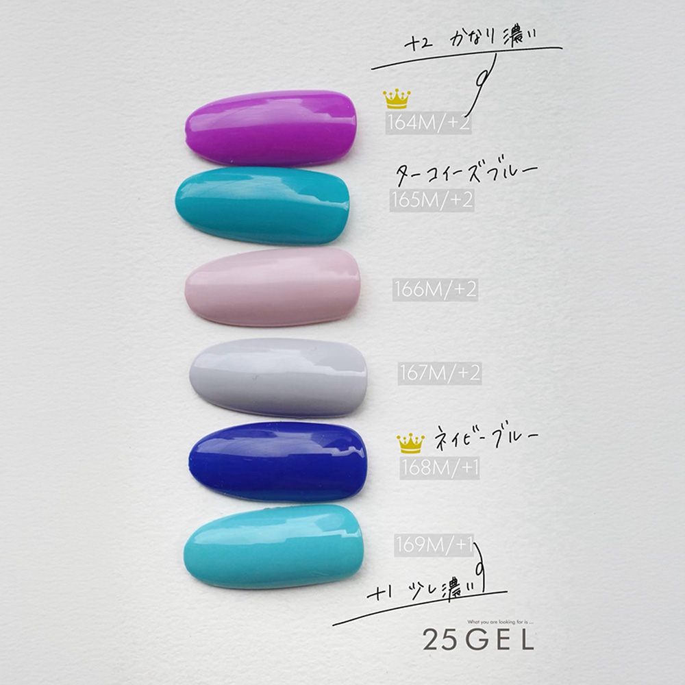 25GEL カラージェル 4g 169M/+1