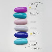 25GEL カラージェル 4g 169M/+1