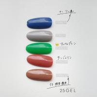 25GEL カラージェル 4g 170M/+1