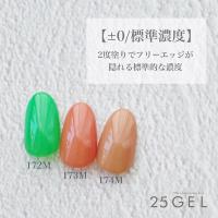25GEL カラージェル 4g 174/M±0【在庫限り】