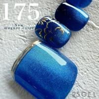 25GEL カラージェル 4g 175MAG