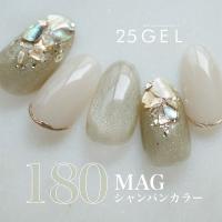 25GEL カラージェル 4g 180MAG