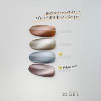 25GEL カラージェル 4g 181MAG