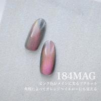 25GEL カラージェル 4g 184MAG