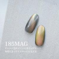 25GEL カラージェル 4g 185MAG