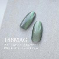 25GEL カラージェル 4g 186MAG