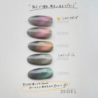 25GEL カラージェル 4g 187MAG