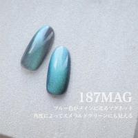 25GEL カラージェル 4g 187MAG