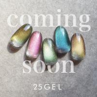 25GEL カラージェル 4g 187MAG