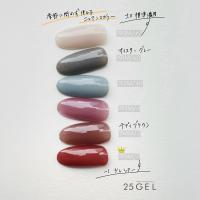 25GEL カラージェル 4g 190M/±0