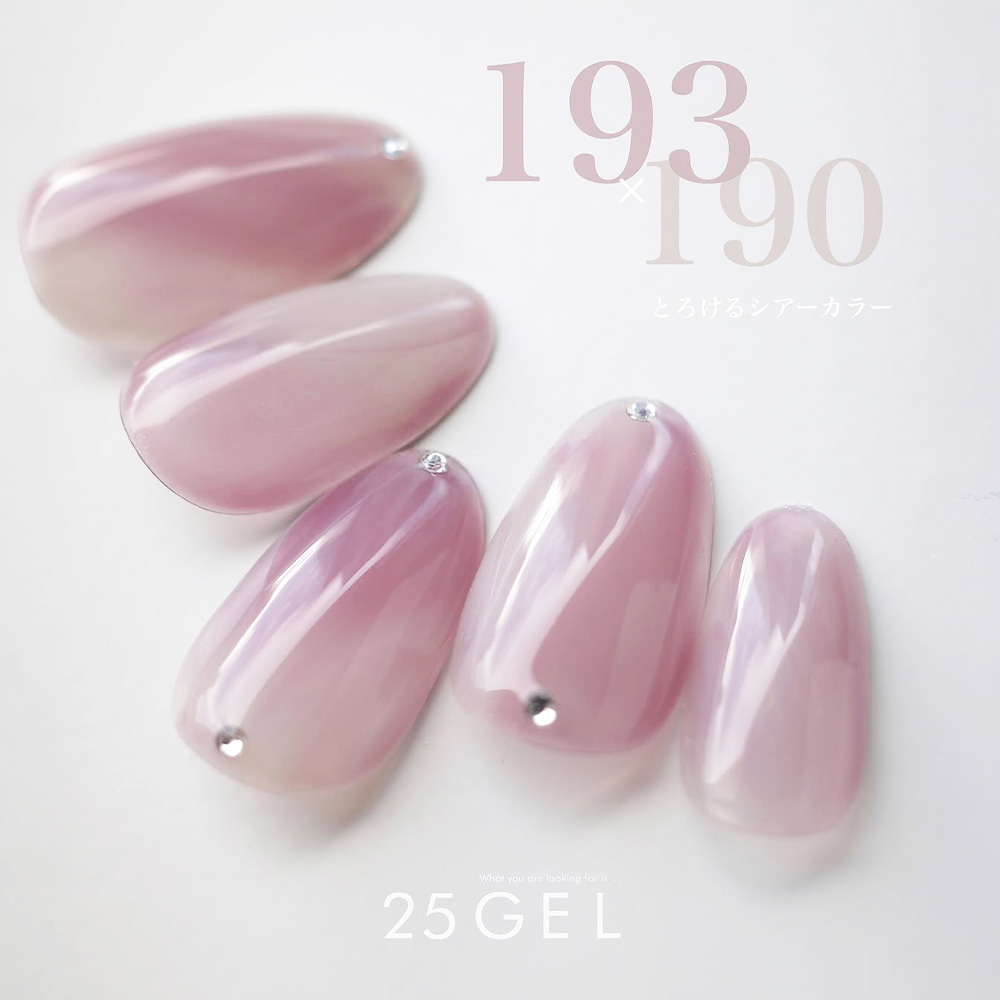 25GEL カラージェル 4g 193M/-1