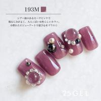 25GEL カラージェル 4g 193M/-1