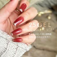 25GEL カラージェル 4g 195M/-1