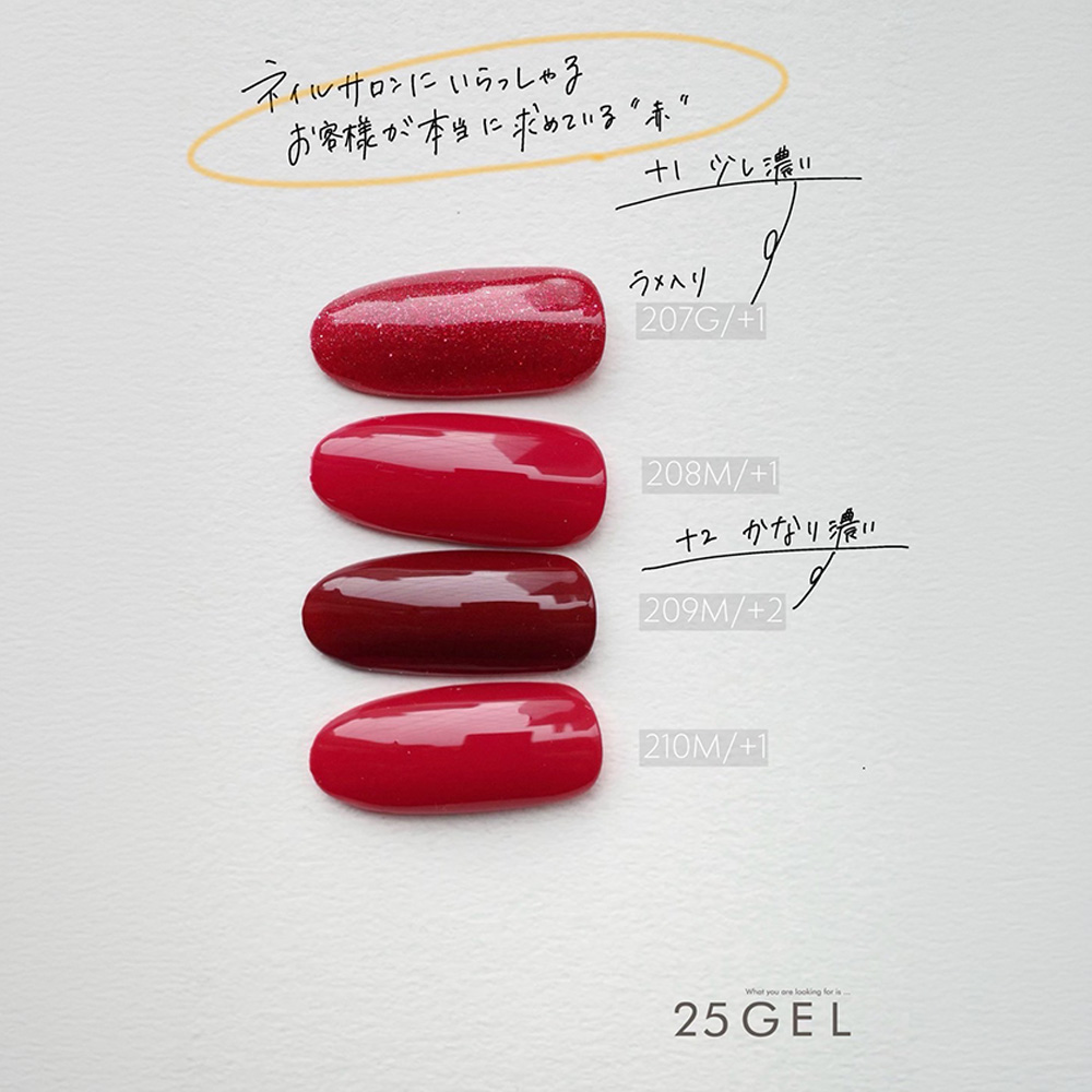 25GEL カラージェル 4g 209M/+2