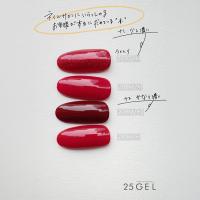 25GEL カラージェル 4g 210M/+1