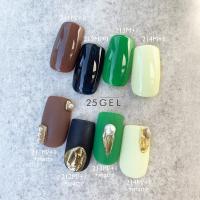 25GEL カラージェル 4g 213M/+1