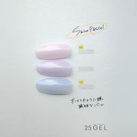 25GEL カラージェル 4g 216G/-2