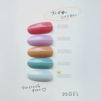 25GEL カラージェル 4g 221M/±0