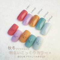 25GEL カラージェル 4g 221M/±0