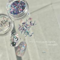 NOVEL フロストレイホログラム ミッドナイト 0.7g H373 #1373