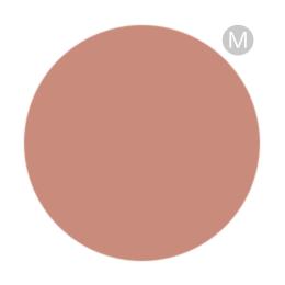PREGEL メロウ 3g PG-MEBE01M チューリップベージュ