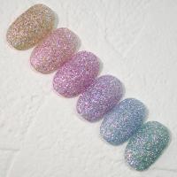 SMint エスミント オーロラプリズムフラッシュグリッター 約1g 6色セット