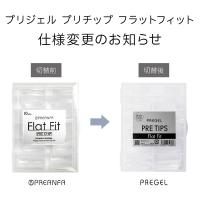 PREGEL プリチップ フラットフィット PCP-FLTFT