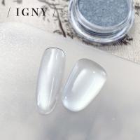 IGNY 水光マグネットパウダー IG065