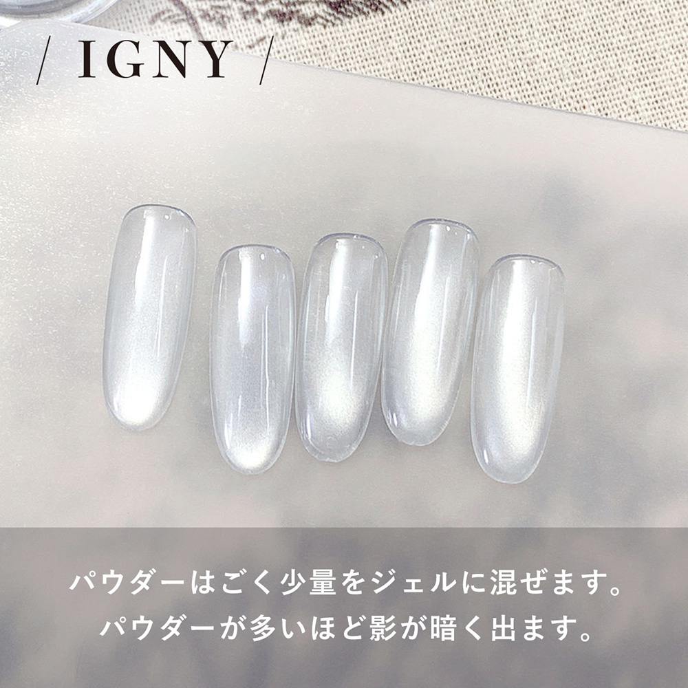 IGNY 水光マグネットパウダー IG065