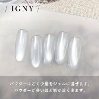 IGNY 水光マグネットパウダー IG065