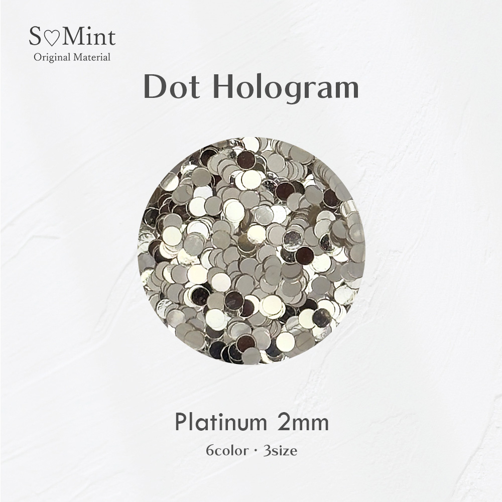 SMint エスミント ドットホログラム 約1g 2 プラチナム 2mm