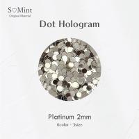 SMint エスミント ドットホログラム 約1g 2 プラチナム 2mm