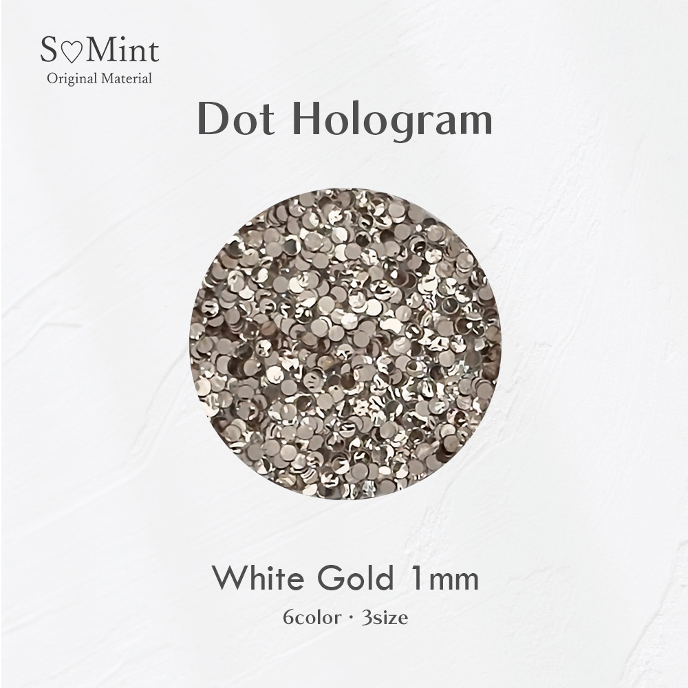 SMint エスミント ドットホログラム 約1g 4 ホワイトゴールド 1mm