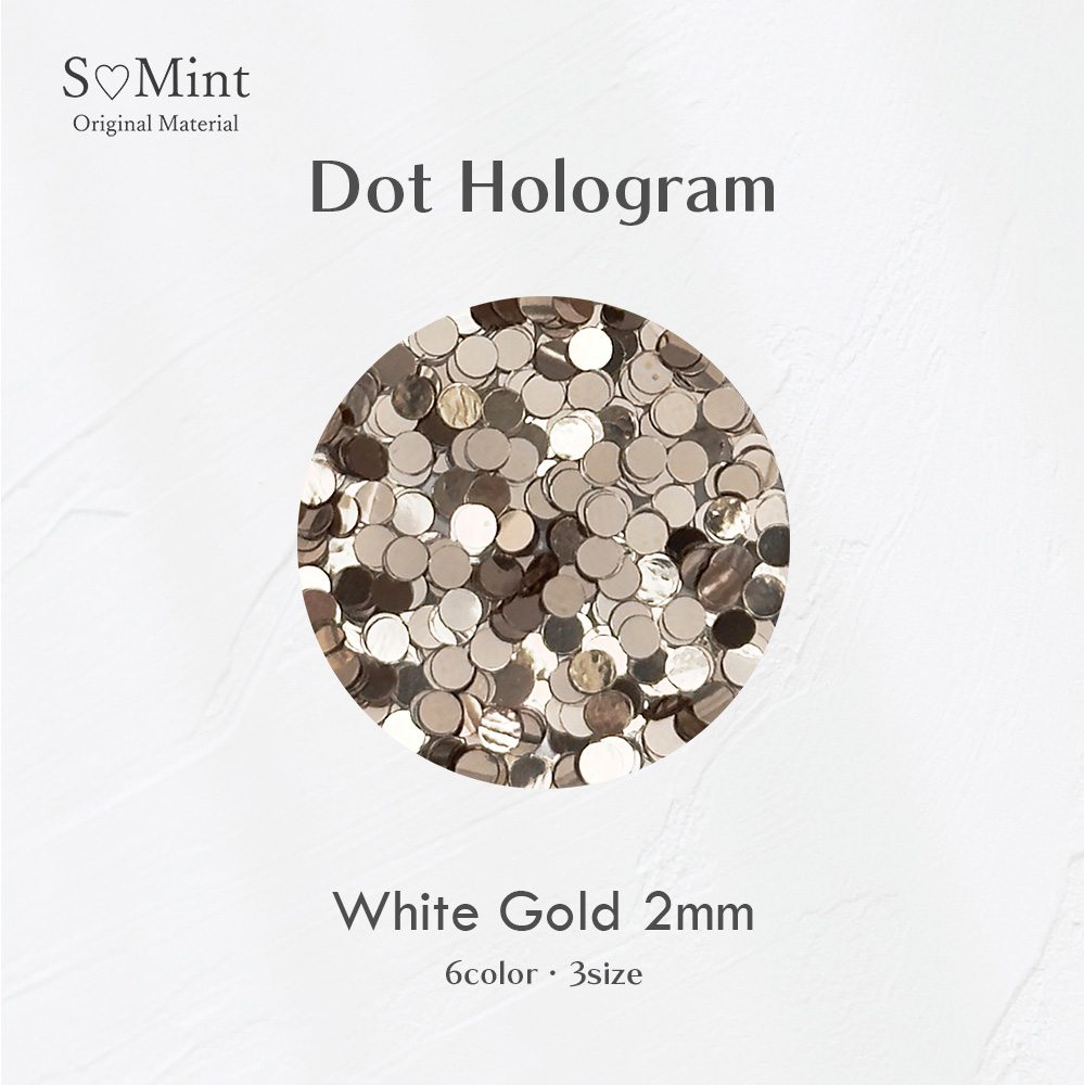 SMint エスミント ドットホログラム 約1g 5 ホワイトゴールド 2mm
