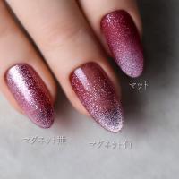 rieugel tocar カラージェル 2.5g MF02 スパークリングレッド