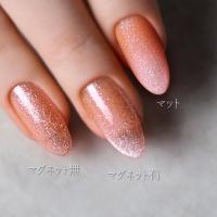 rieugel tocar カラージェル 2.5g MF04 スパークリングオレンジ
