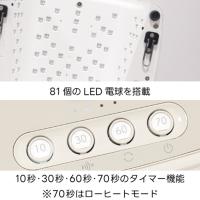 SHAREYDVA LEDLight lev レヴ グレージュ 36W