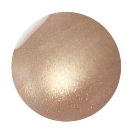 ICE GEL ジェントロン スターギャラクシージェル ディアピンク 3g 1813 オーツミルク